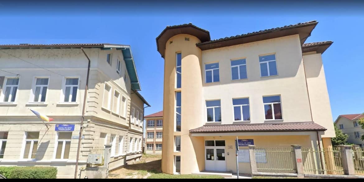 zece elevi ai liceului de arte ”regina maria” din alba