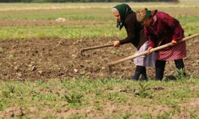 botoșani, pe locul doi la nivel național în rândul pensionarilor