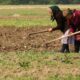 botoșani, pe locul doi la nivel național în rândul pensionarilor