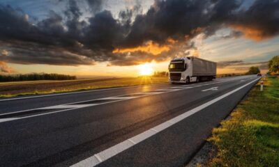 pentru șoferii de tir care tranzitează suedia: autoritățile reintroduc controlul
