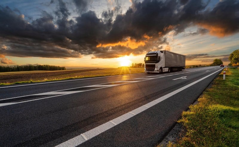pentru șoferii de tir care tranzitează suedia: autoritățile reintroduc controlul