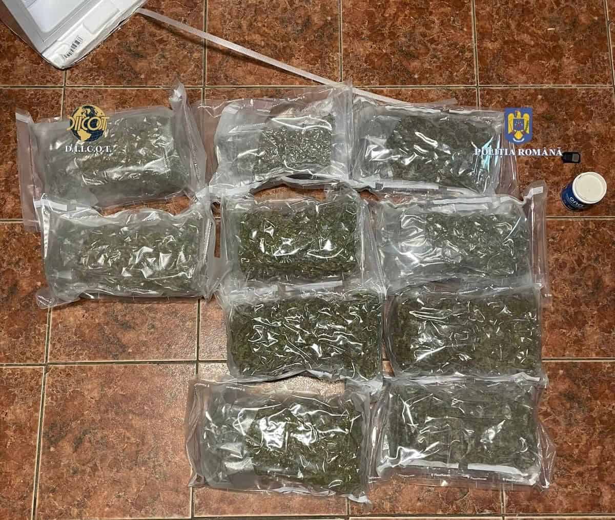 droguri2.jpg