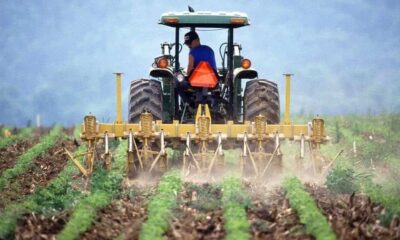„creditul fermierului” – nou program de sprijin pentru agricultură. cine
