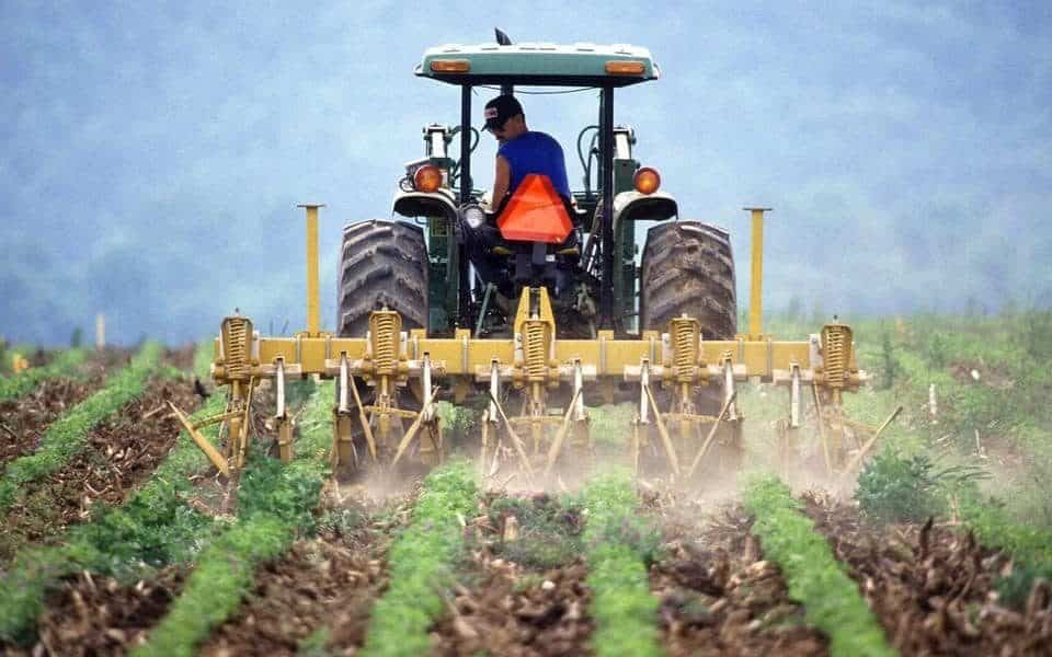 „creditul fermierului” – nou program de sprijin pentru agricultură. cine