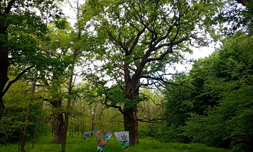 botoșani: locul de basm creat de Ștefan cel mare în