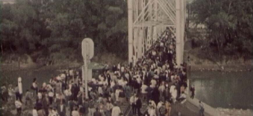 documentar: 35 de ani de la primul „pod de flori”