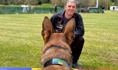 sport canin 9 e1747134653744.jpg