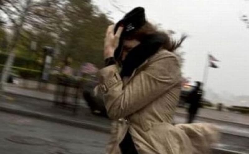 cod galben de vânt puternic și pentru flămânzi, albești, lunca,