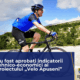 cartolina „velo apuseni.png