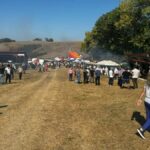 7 septembrie: „coborâtul oilor” la loman. festival folcloric, expoziție și
