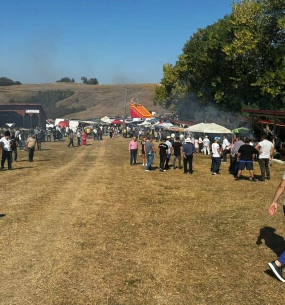 7 septembrie: „coborâtul oilor” la loman. festival folcloric, expoziție și