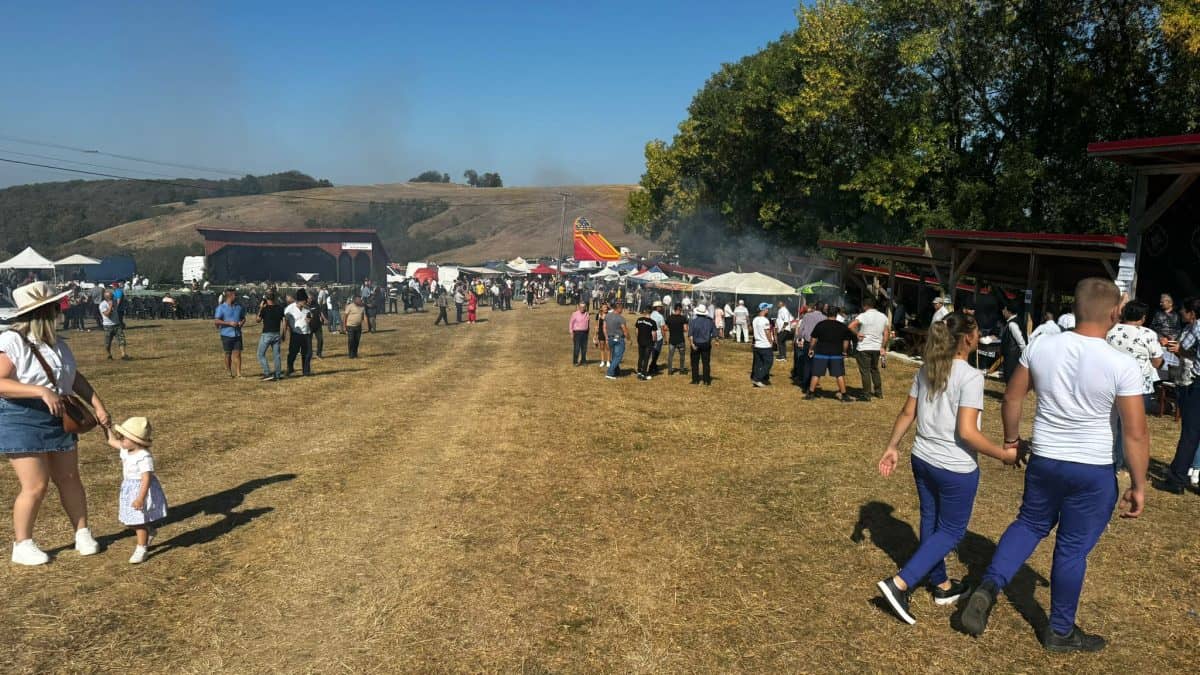 7 septembrie: „coborâtul oilor” la loman. festival folcloric, expoziție și
