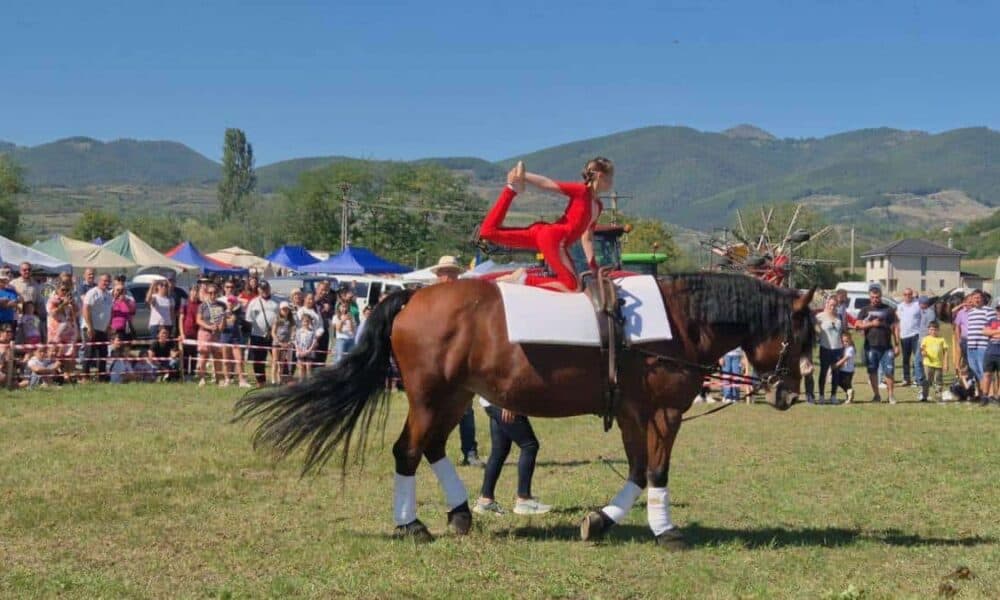 video: demonstrație de gimnastică pe cal – recuperare şi agrement