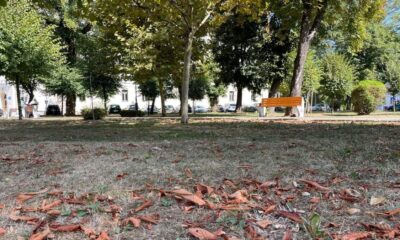 vremea în alba, 29 septembrie – 5 octombrie 2025. ce