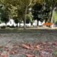 vremea în alba, 29 septembrie – 5 octombrie 2025. ce