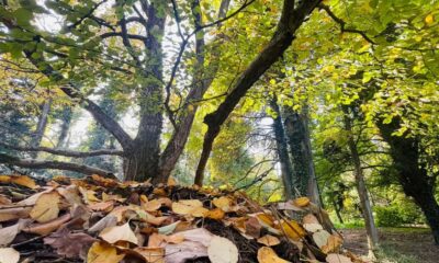 vremea în alba în săptămâna 15 – 21 septembrie: două