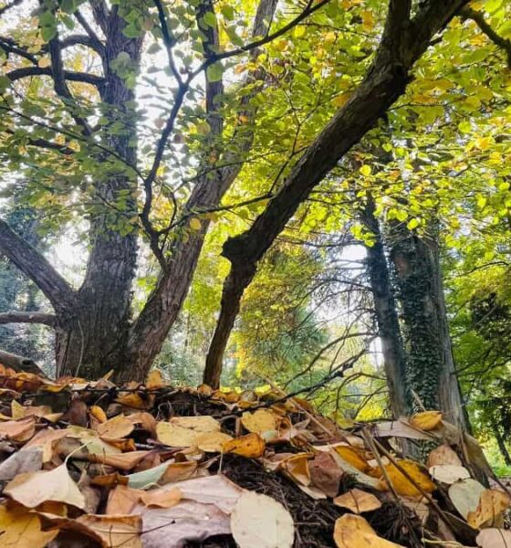 vremea în alba în săptămâna 15 – 21 septembrie: două