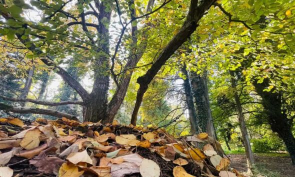 vremea în alba în săptămâna 15 – 21 septembrie: două