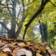 vremea în alba în săptămâna 15 – 21 septembrie: două