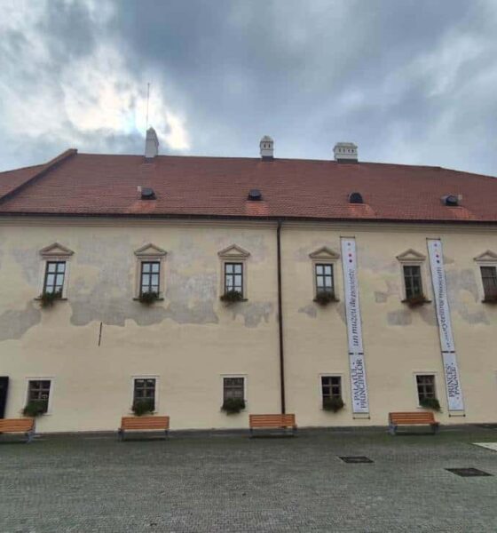 25 octombrie: lansarea cărții „principii transilvaniei”, de teréz oborni, la