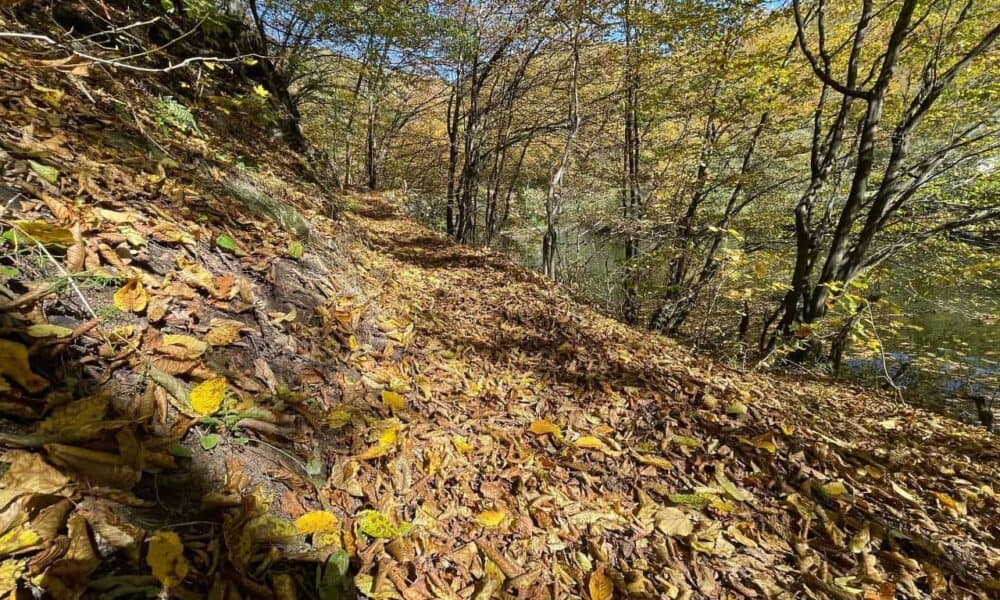 vremea de weekend în alba, 31 octombrie – 2 noiembrie: