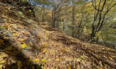 vremea de weekend în alba, 31 octombrie – 2 noiembrie: