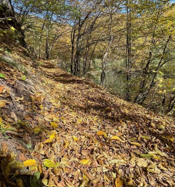 vremea de weekend în alba, 31 octombrie – 2 noiembrie: