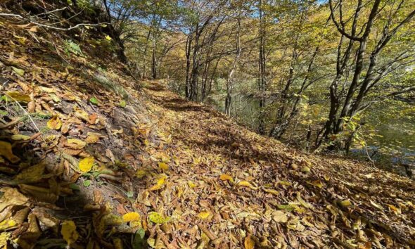 vremea de weekend în alba, 31 octombrie – 2 noiembrie: