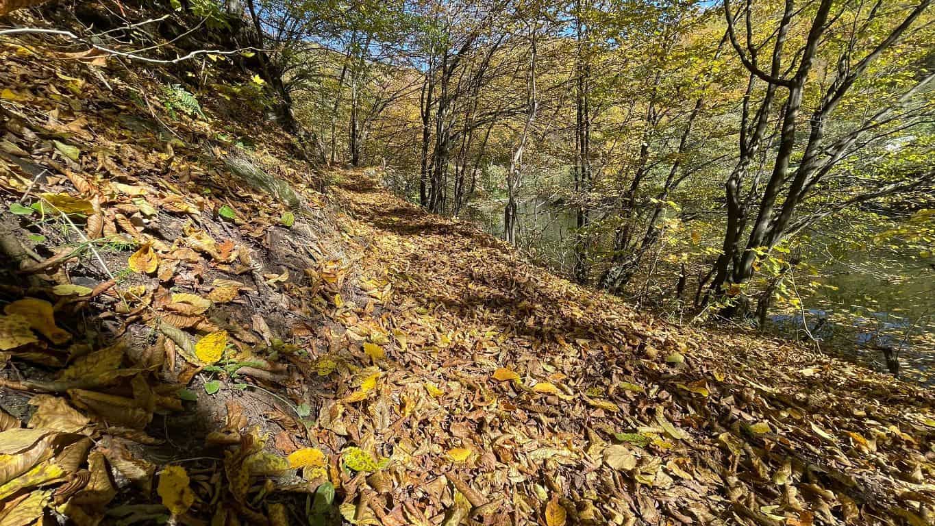 vremea de weekend în alba, 31 octombrie – 2 noiembrie: