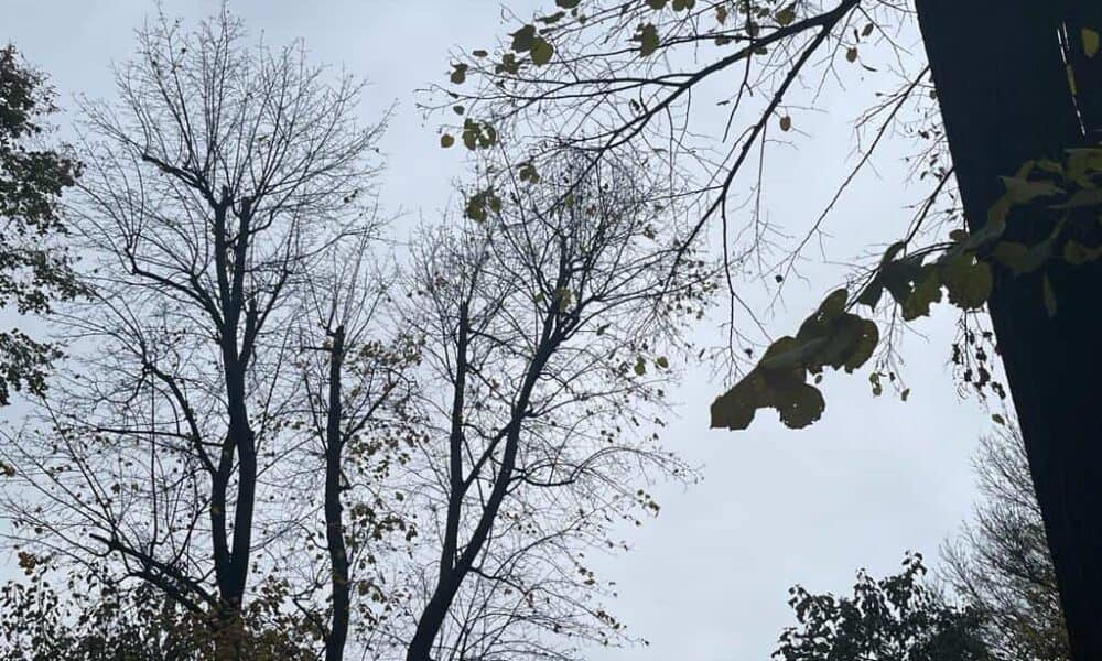 vremea în alba săptămâna 6 – 12 octombrie: vreme urâtă