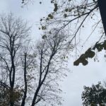 vremea în alba săptămâna 6 – 12 octombrie: vreme urâtă