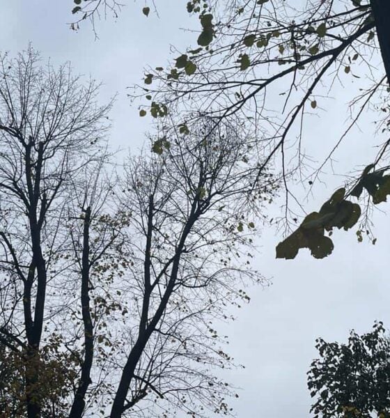 vremea în alba săptămâna 6 – 12 octombrie: vreme urâtă