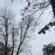 vremea în alba săptămâna 6 – 12 octombrie: vreme urâtă