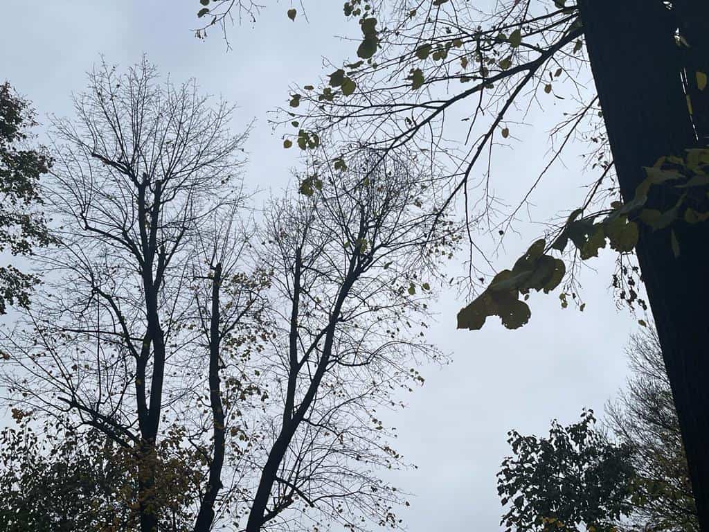 vremea în alba săptămâna 6 – 12 octombrie: vreme urâtă
