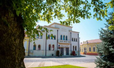 19 noiembrie: „sirocco și regatul vânturilor” la este filmul de