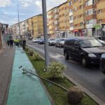 foto: primăria alba iulia a renunțat să mai planteze „joarde”.