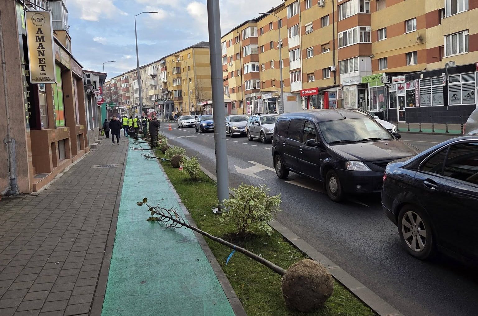 foto: primăria alba iulia a renunțat să mai planteze „joarde”.