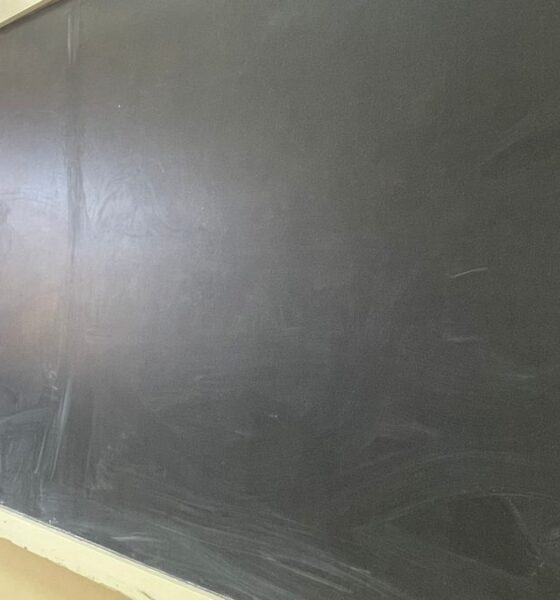 ministrul daniel david: „vom avea titularizare în 2026”