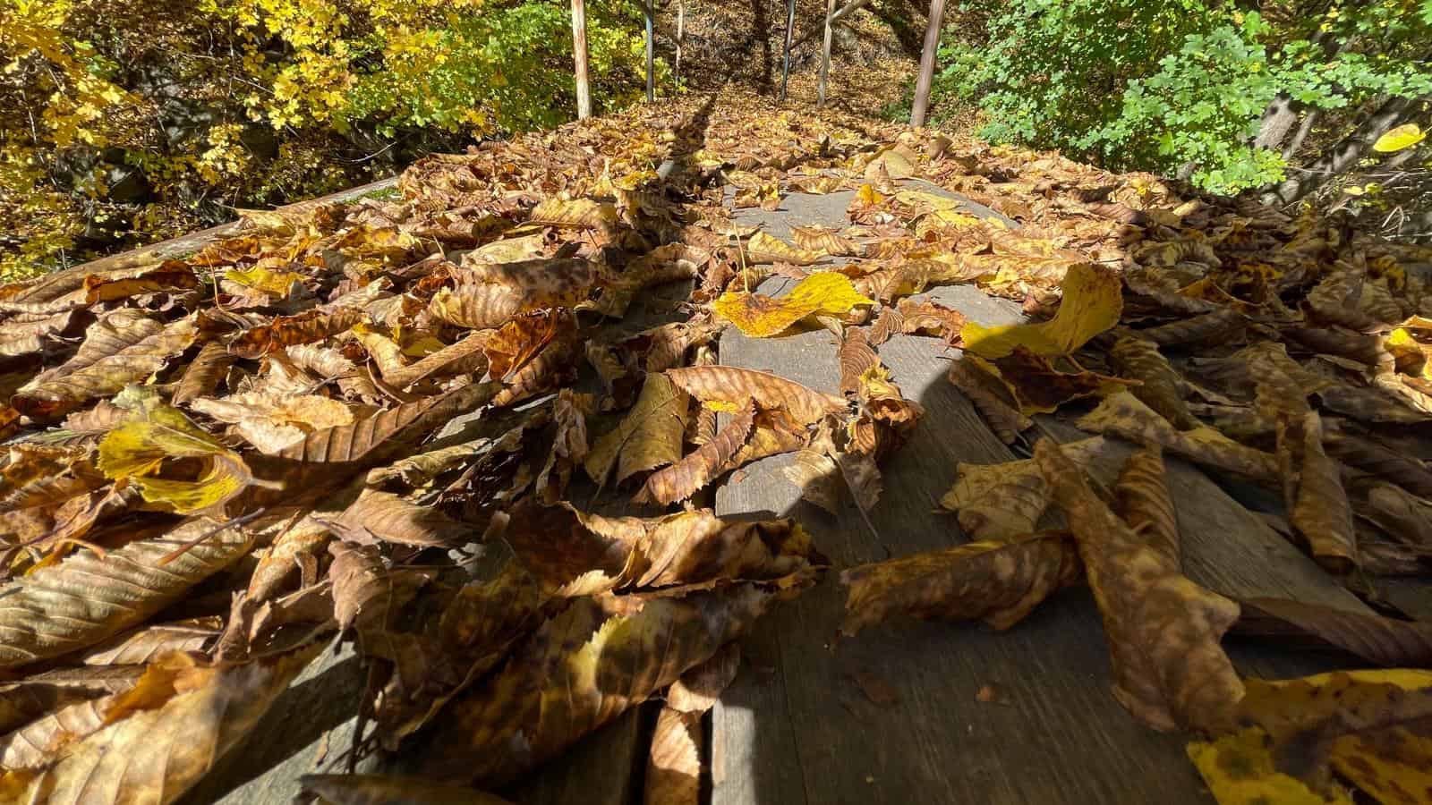 Vremea în Alba în săptămâna 10–16 noiembrie: Ploi, nori și dimineți reci. Cum va fi vremea în localitățile din județ