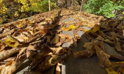 vremea în alba în săptămâna 10–16 noiembrie: ploi, nori și