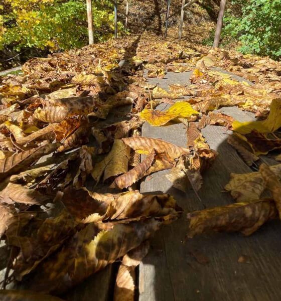 vremea în alba în săptămâna 10–16 noiembrie: ploi, nori și