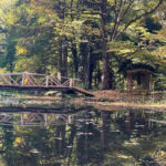 vremea în alba în săptămâna 3 – 9 noiembrie: se