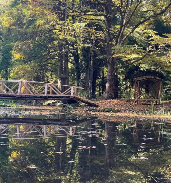 vremea în alba în săptămâna 3 – 9 noiembrie: se