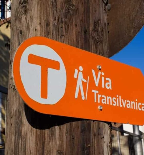 atestarea via transilvanica – traseu pedestru de interes național: se