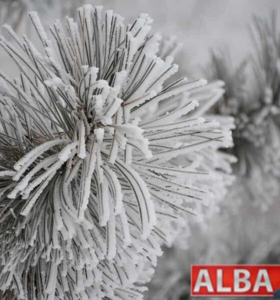 vortexul polar s a „fracturat” și va aduce un început de