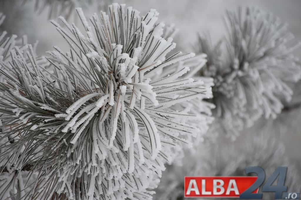 vortexul polar s a „fracturat” și va aduce un început de