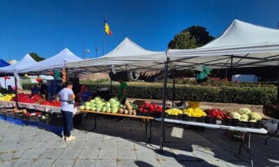 video: producător de legume din alba: „poți pierde în 10